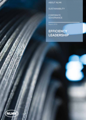 NLMK Annual Report for 2015